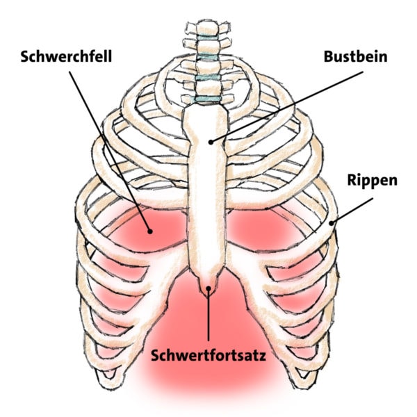 bws syndrom brustkorb anatomie